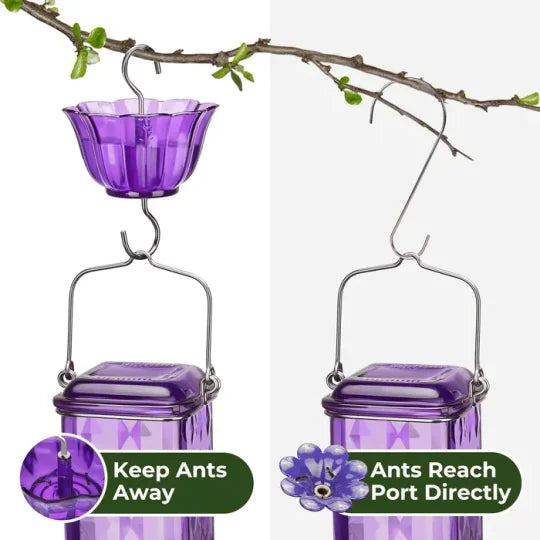 24oz Leak-Proof Glass Hummingbird Feeder – Wide Mouth Outdoor Nectar Feeder with Ant Moat, Easy-Clean Design for Garden, Patio & Yard Bird Watching