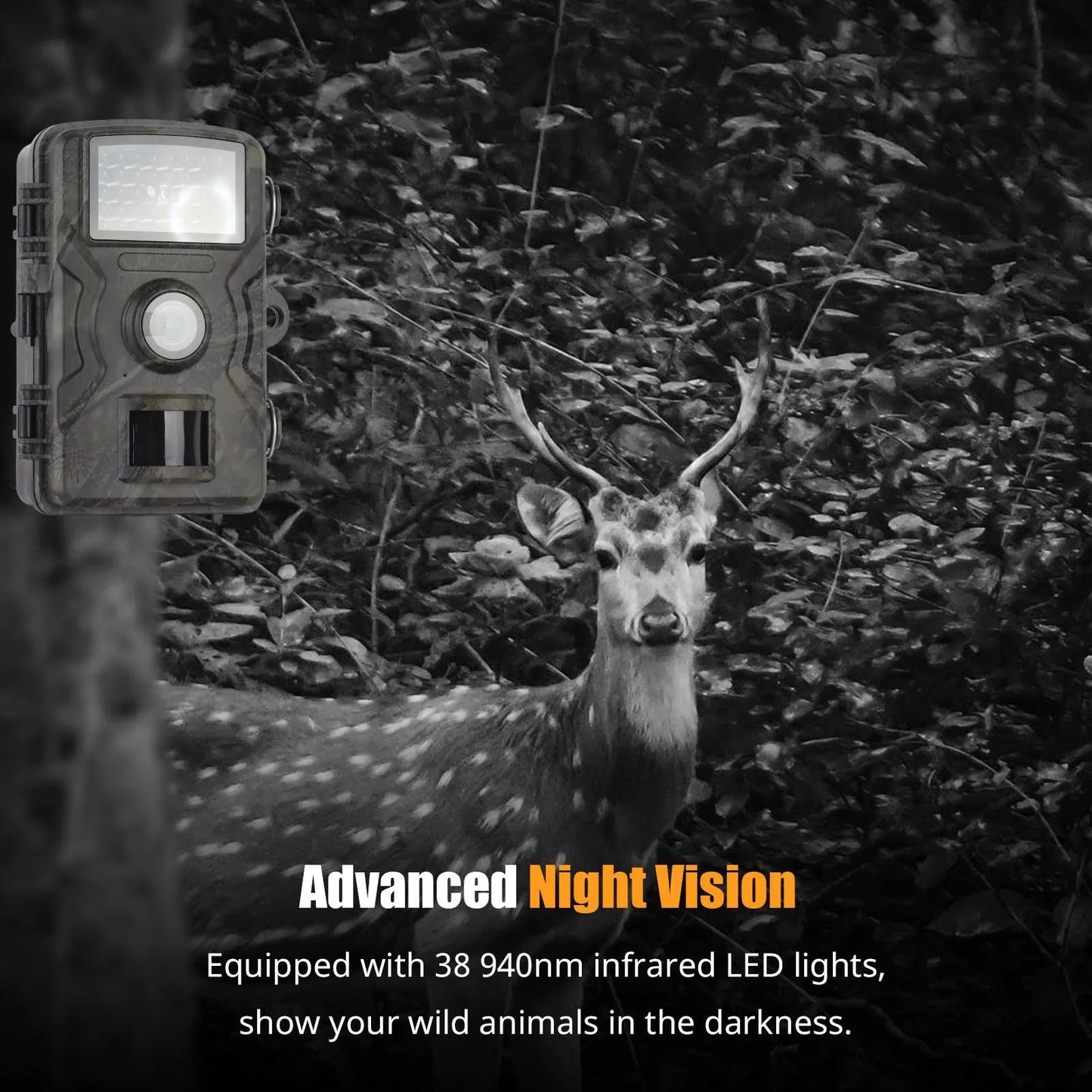 1080P Night Vision Trail Camera – Waterproof Wildlife Game Camera with Motion Detection, Time Lapse, 120° Wide Angle, for Hunting & Security