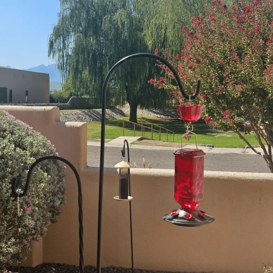 24oz Leak-Proof Glass Hummingbird Feeder – Wide Mouth Outdoor Nectar Feeder with Ant Moat, Easy-Clean Design for Garden, Patio & Yard Bird Watching