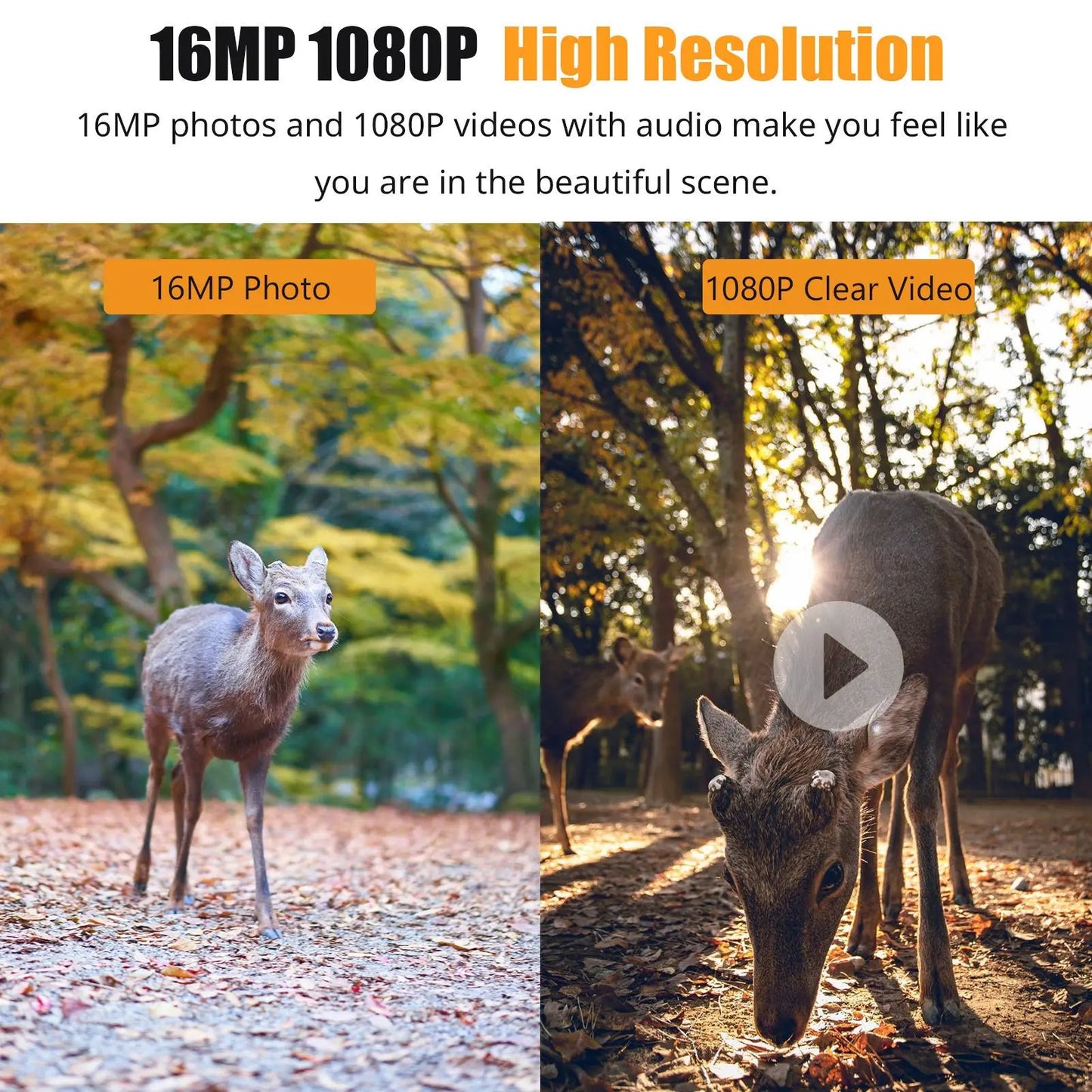 1080P Night Vision Trail Camera – Waterproof Wildlife Game Camera with Motion Detection, Time Lapse, 120° Wide Angle, for Hunting & Security