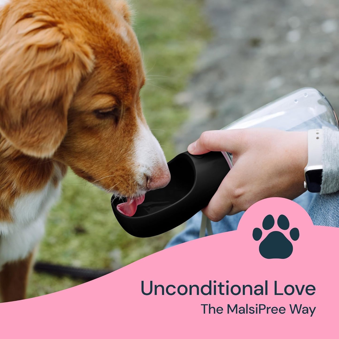 19 oz Portable Dog Water Bottle – Leak-Proof Travel Pet Water Dispenser with Foldable Trough for Walking, Hiking, Camping with Dogs & Cats