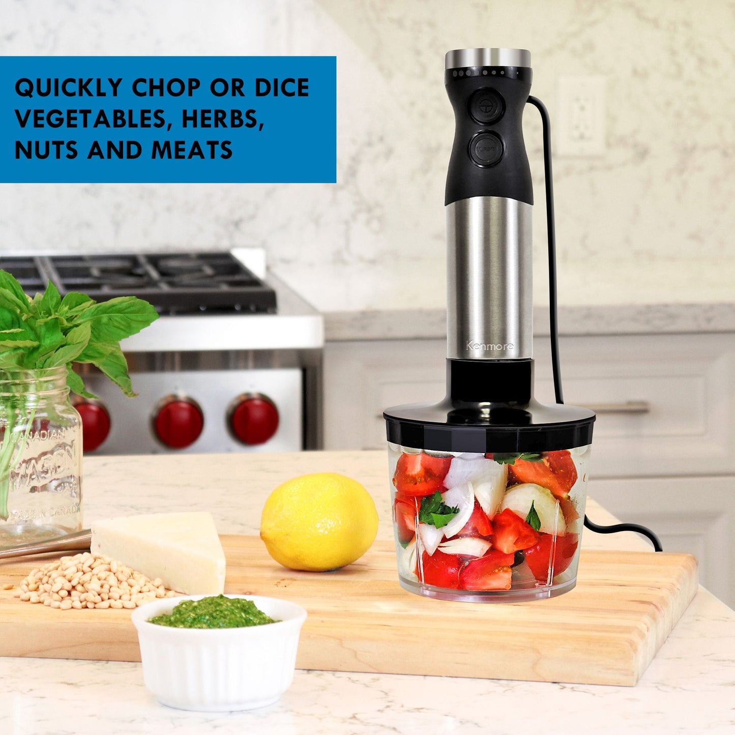 Kenmore Variable Speed Immersion Blender