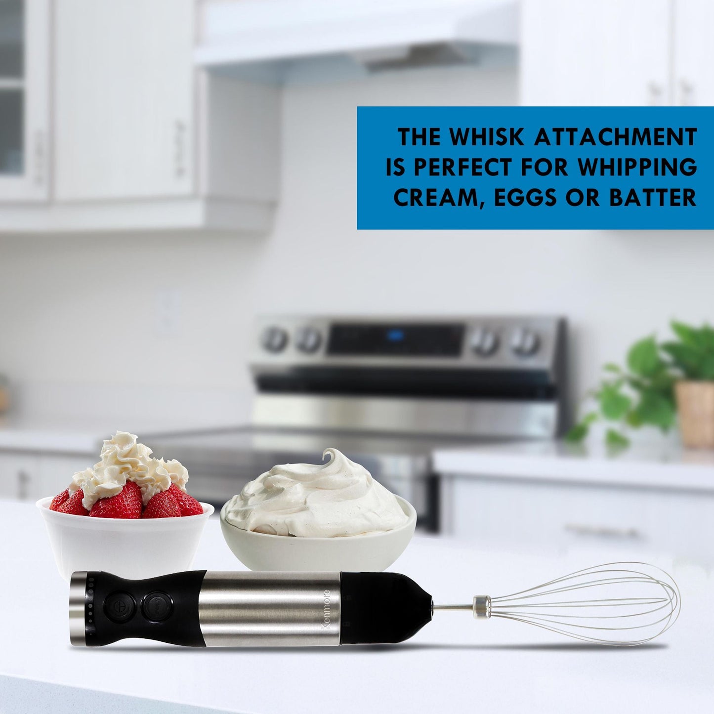 Kenmore Variable Speed Immersion Blender