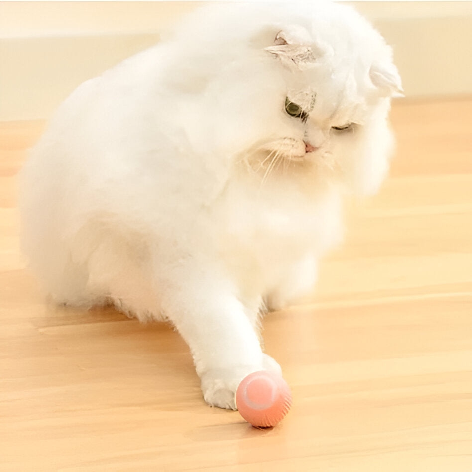 2-in-1 Interactive Hunting Cat Toy – Simulated Prey Feather Toy with Catnip Pouch & Crinkle Ball, Keeps Indoor Cats Active & Entertained