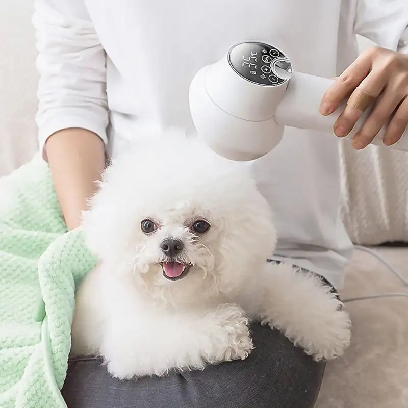 2-in-1 Smart Dog Hair Dryer & Grooming Blower – Quiet Low Noise Pet Blow Dryer with Comb Attachments for Dogs, Cats & Small Animals