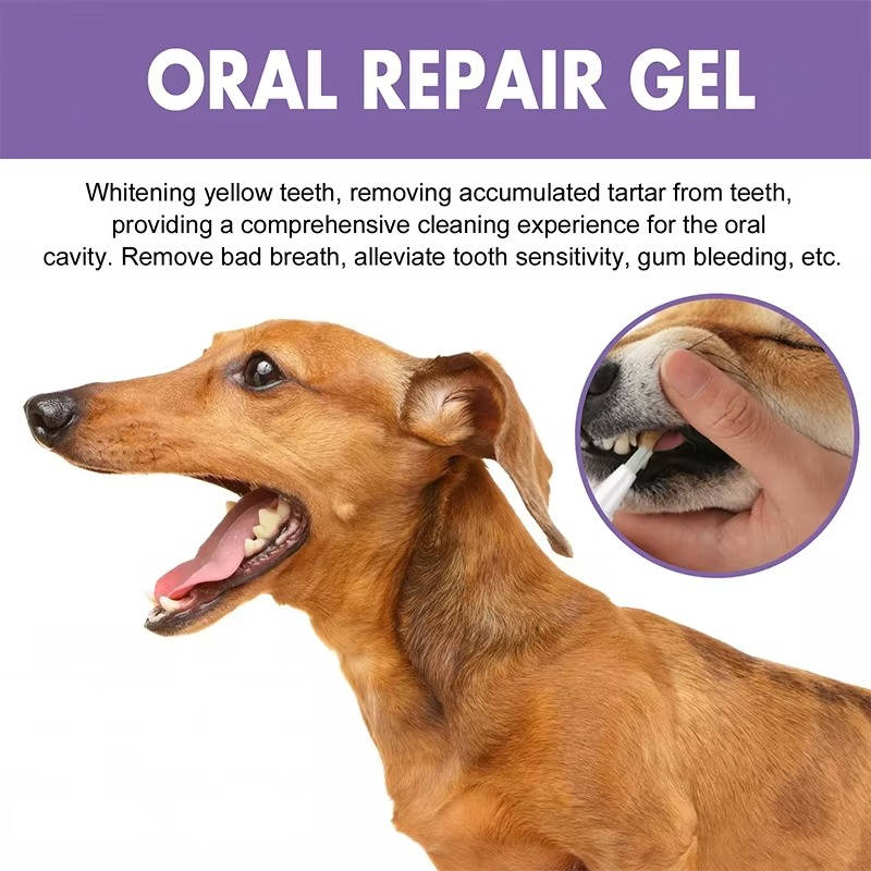 3-Set Dog Oral Care Repair Gel – Pet Dental Gel for Bad Breath, Gum Repair & Teeth Cleaning for Dogs, Natural Dog Toothpaste Alternative