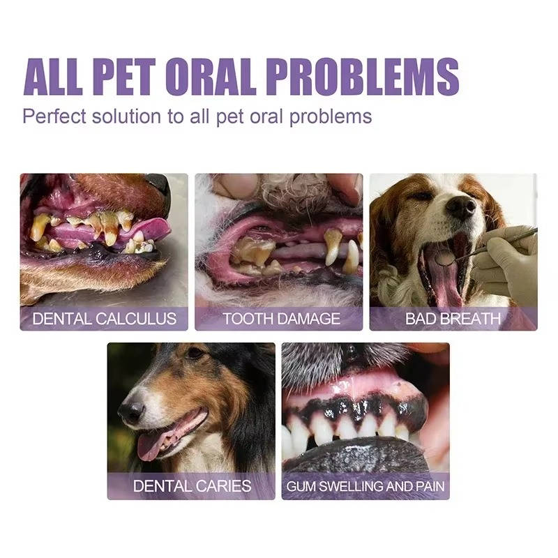 3-Set Dog Oral Care Repair Gel – Pet Dental Gel for Bad Breath, Gum Repair & Teeth Cleaning for Dogs, Natural Dog Toothpaste Alternative