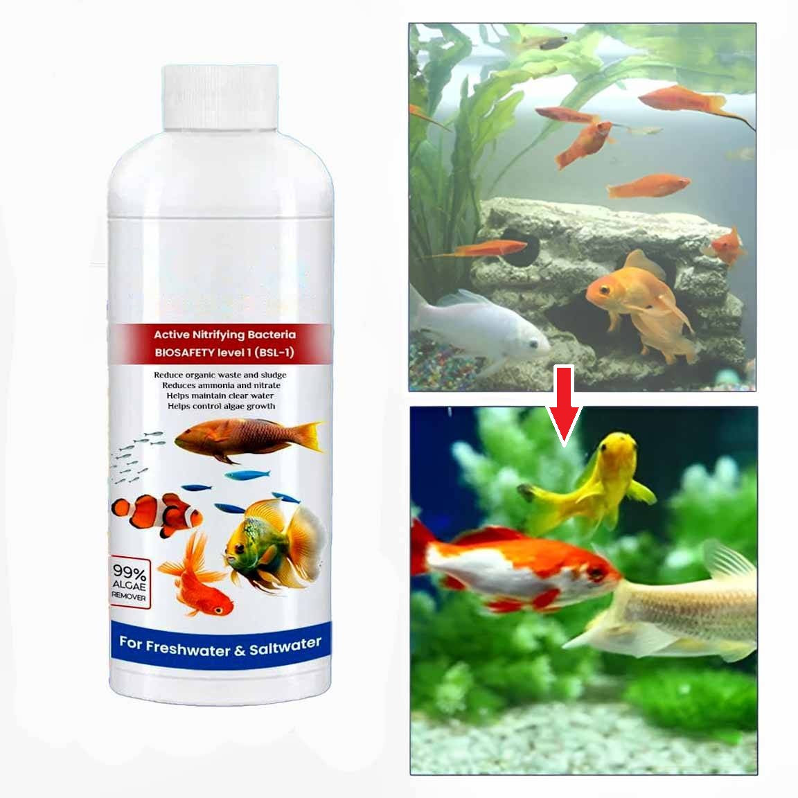 3-Pack Fish Tank Aquarium Cleaner Liquid – Water Clarifier & Beneficial Bacteria Treatment for Clear, Healthy Freshwater & Saltwater Aquariums