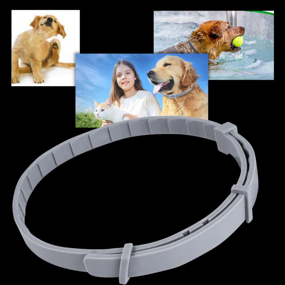 Parasite Repellent Pet Collar