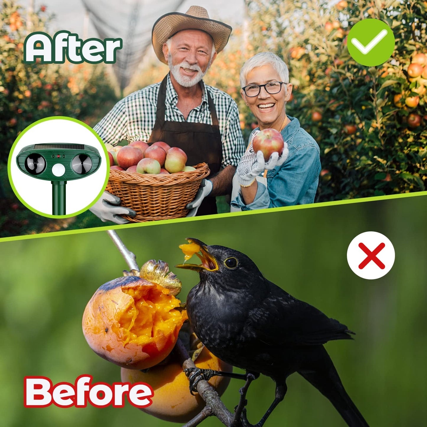 Ultrasonic Woodpecker Repellent