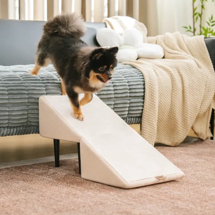 2-in-1 Convertible Dog Ramp & Pet Stairs – Foldable Dog Step Ladder for Bed, Sofa & Car, for Small to Large Dogs & Cats, Orthopedic Joint Support