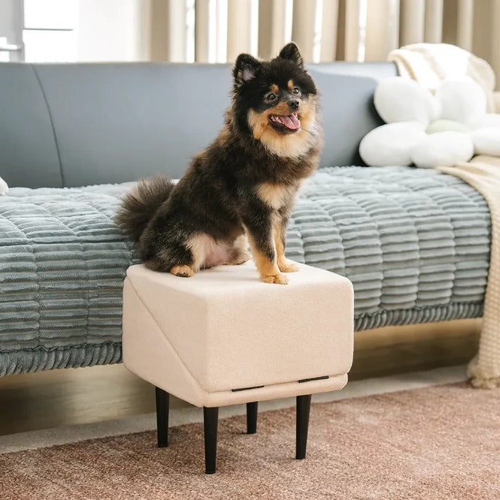 2-in-1 Convertible Dog Ramp & Pet Stairs – Foldable Dog Step Ladder for Bed, Sofa & Car, for Small to Large Dogs & Cats, Orthopedic Joint Support