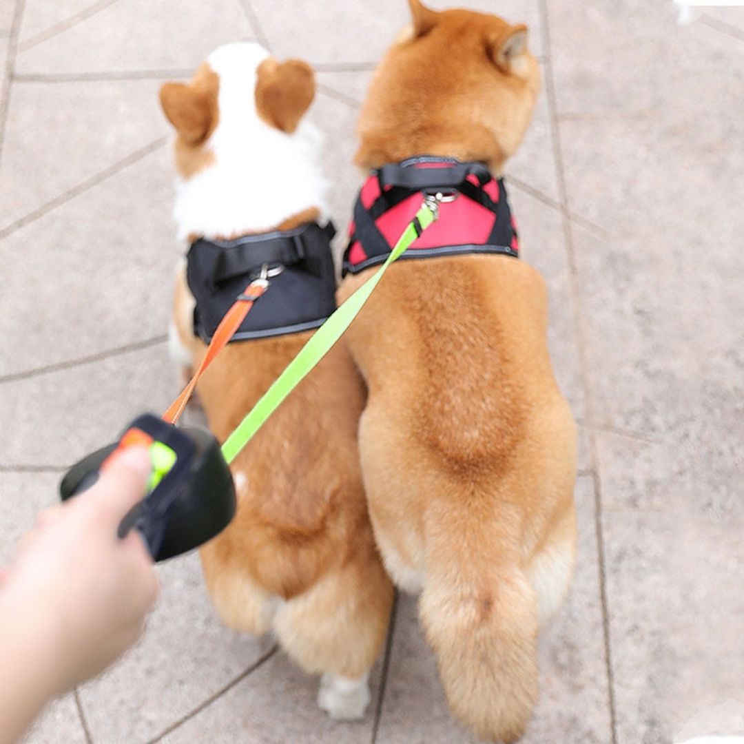 Anti-Tangle Double Dog Leash